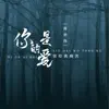 蒋崇伟 - 是你的爱留给我痛苦 - EP